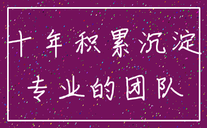 十年积累沉淀_专业的团队
