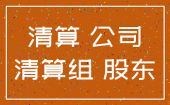 分公司注销清算报表范文