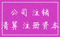 公司注销注册资本说明书