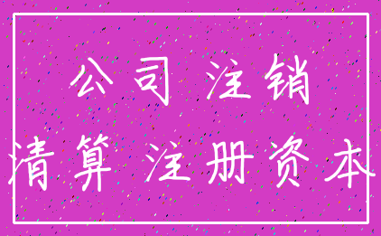 公司 注销_清算 注册资本