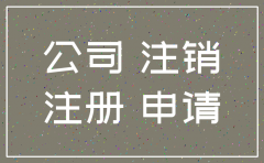 拉萨市分公司注销