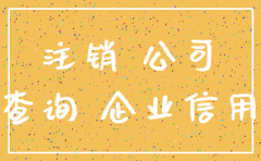 网上是否注销公司名称