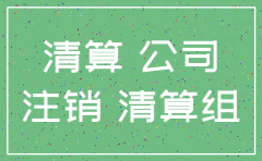 分公司注销登记备案申请书
