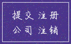 国有企业注销公司请示