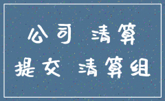 注销公司 股东需要提供什么资料