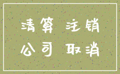公司注销财务都要做什么
