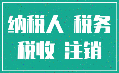 公司注销税务申请表