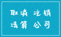 一人公司注销有哪些原因