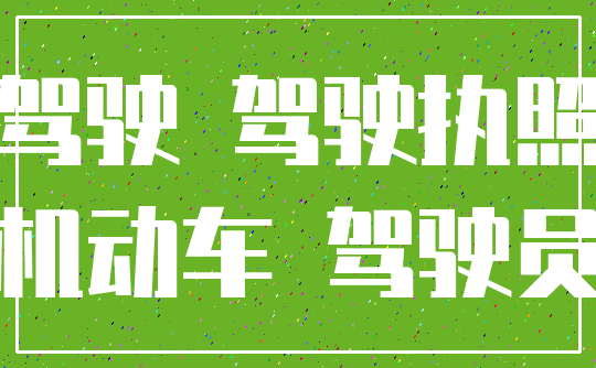 驾驶 驾驶执照_机动车 驾驶员