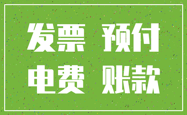 发票 预付_电费 账款