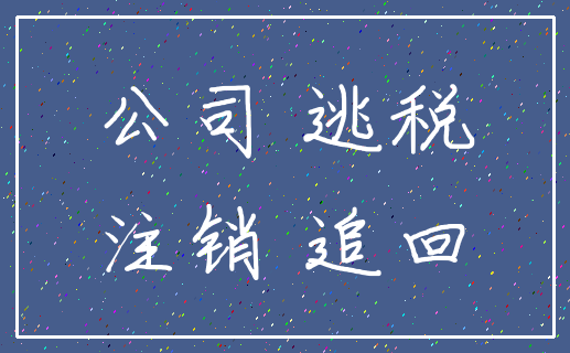 公司 逃税_注销 追回