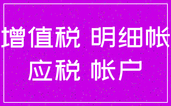 增值税 明细帐_应税 帐户