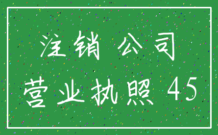 注销 公司_营业执照 45