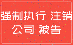 申请强制执行前公司注销的