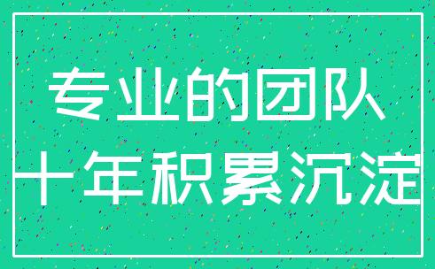 专业的团队_十年积累沉淀