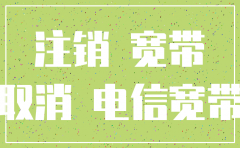 注销公司网络需要带什么