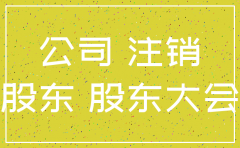 有限公司的一个股东注销吗