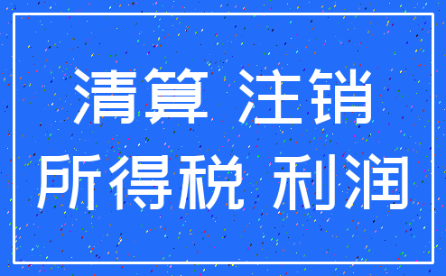 清算 注销_所得税 利润