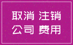 一般注销公司代理