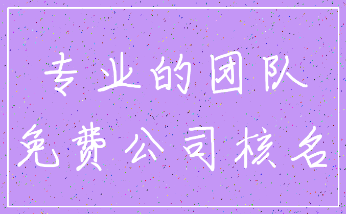 专业的团队_免费公司核名