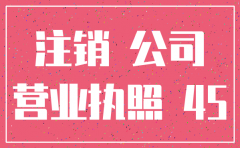 奉贤注册的公司去哪注销