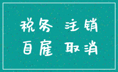 公司税务注销了还能买车