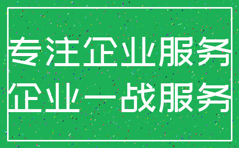 专注企业服务_企业一战服务