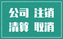 公司已备案想注销有什么程序