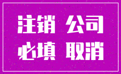 大连高新园区公司注销