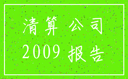 清算 公司_2009 报告