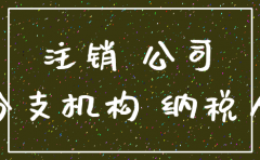 关于分公司注销的说明