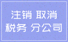 分公司税务局注销申请书
