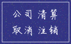 湖南分公司注销流程
