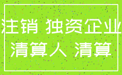 个人独资企业股东会决议注销公司