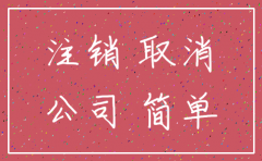 简易注销公司照片如何上传