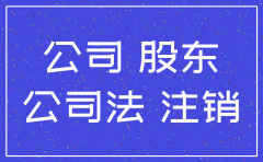 股东注销的情况下如何注销公司