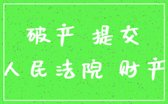 公司破产怎么写情况说明书注销
