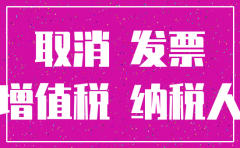 无财务收入公司注销