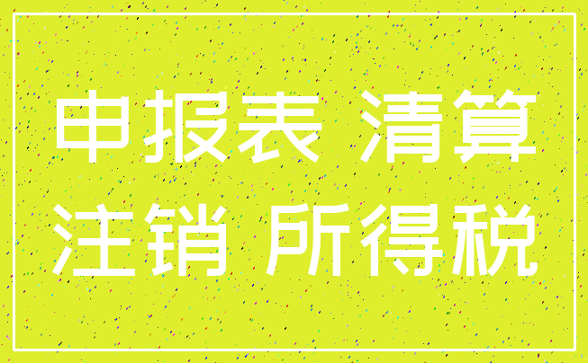 申报表 清算_注销 所得税