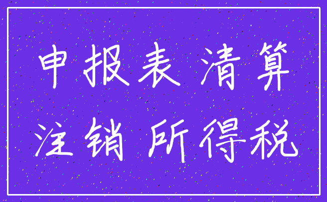 申报表 清算_注销 所得税
