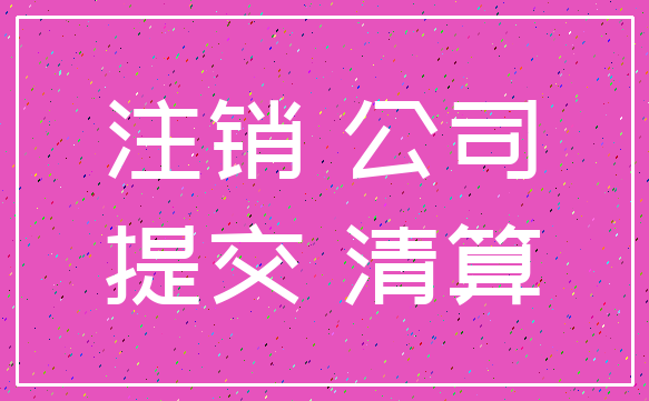 注销 公司_提交 清算