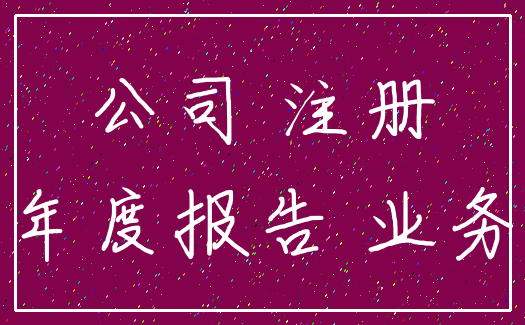 公司 注册_年度报告 业务