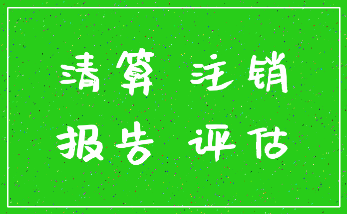 清算 注销_报告 评估