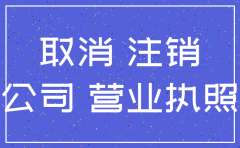 个人公司怎样注销吗