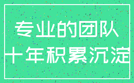专业的团队_十年积累沉淀