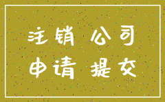 公司注销登入哪个网站