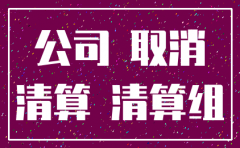 公司设立与注销流程指引