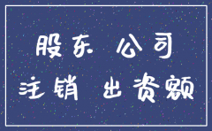 股东不出资公司注销其股东身份