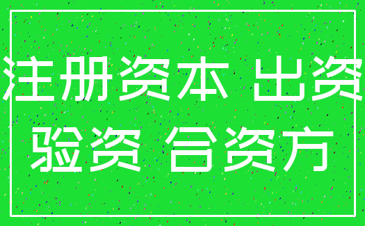 注册资本 出资_验资 合资方