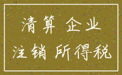 公司办理注销前的帐务处理